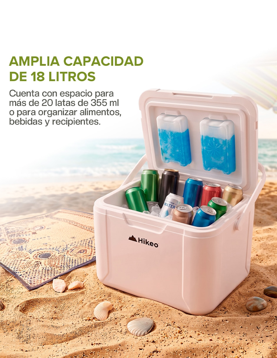 Hielera Rígida 3