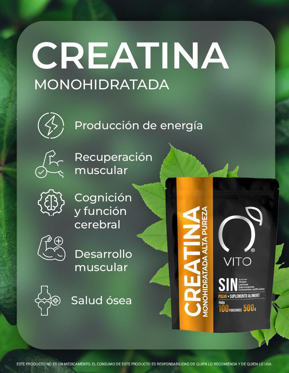 Creatina Monohidratada 500g en Polvo de 500 g