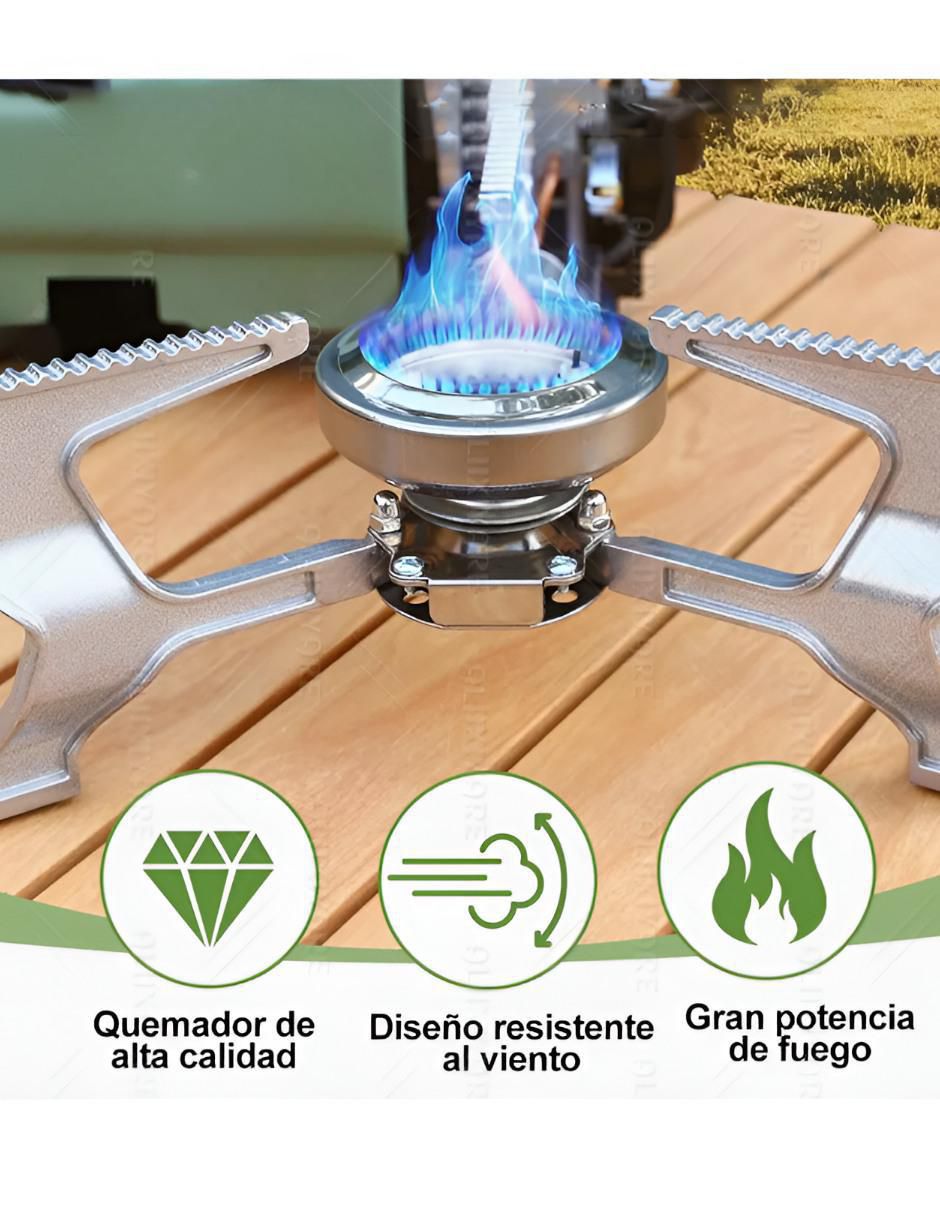 Parrilla de gas de aluminio 2