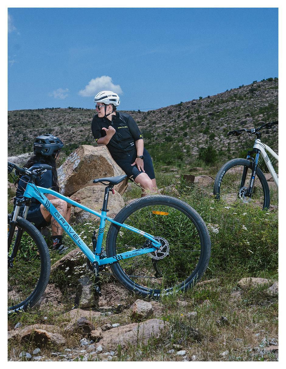 Bicicleta de montaña rodada 29 9