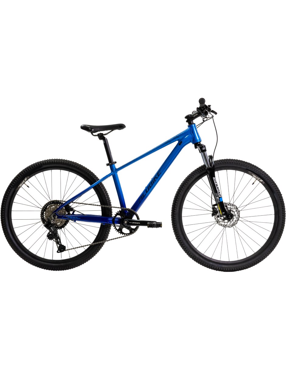 Bicicleta de montaña rodada 29 2