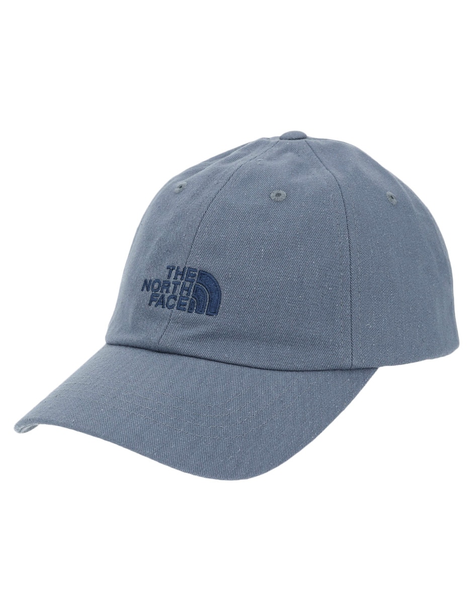 Gorra visera curva hebilla para entrenamiento the north face norm hat unisex