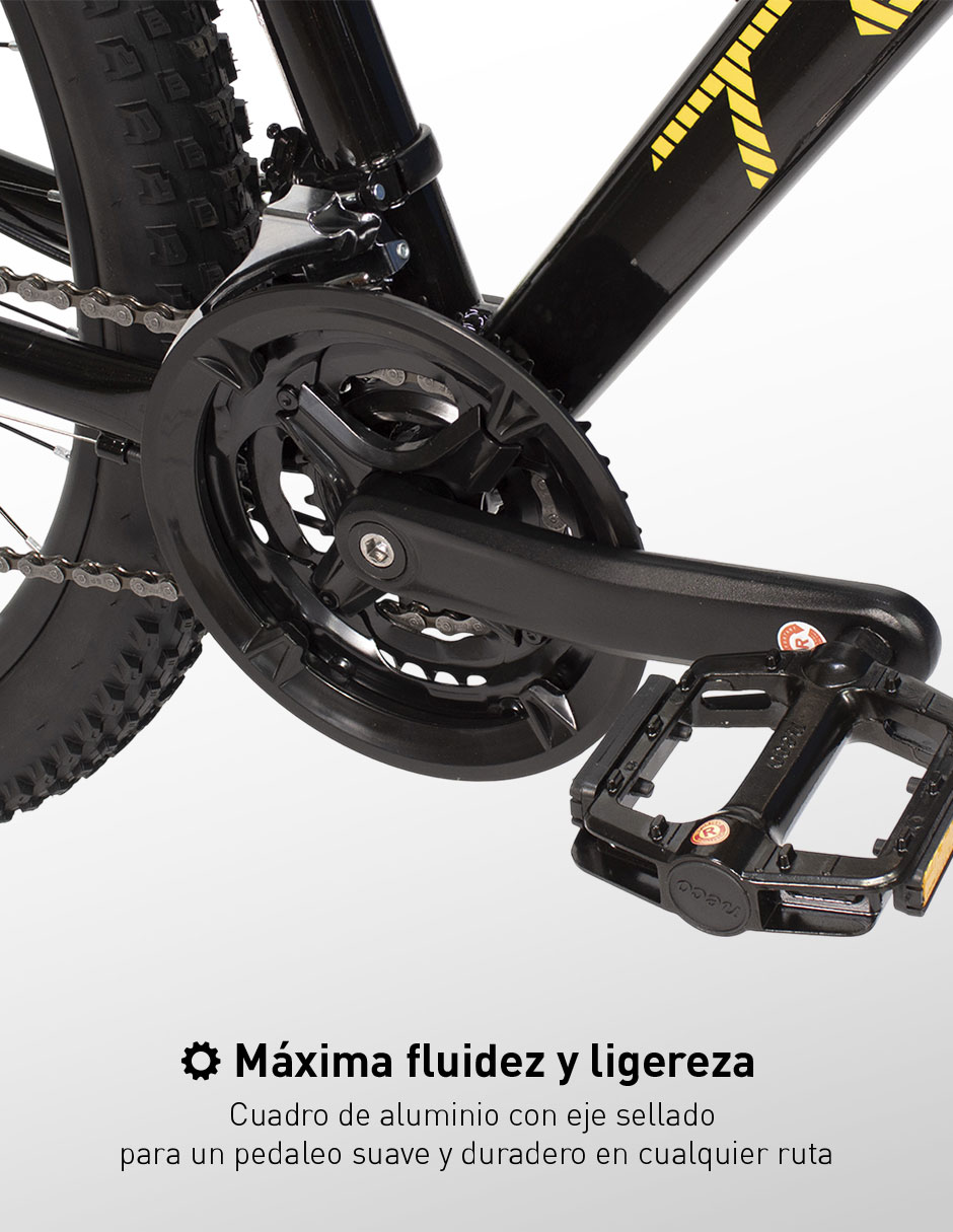 Bicicleta de montaña Turbo rodada 29