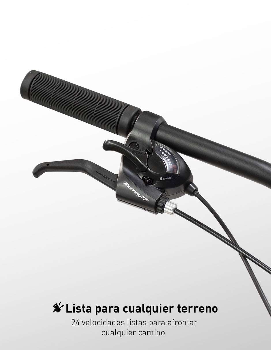 Bicicleta de montaña Turbo rodada 29