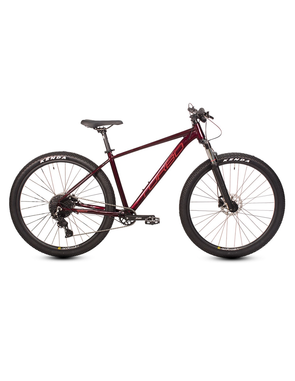 Bicicleta de montaña Turbo rodada 29