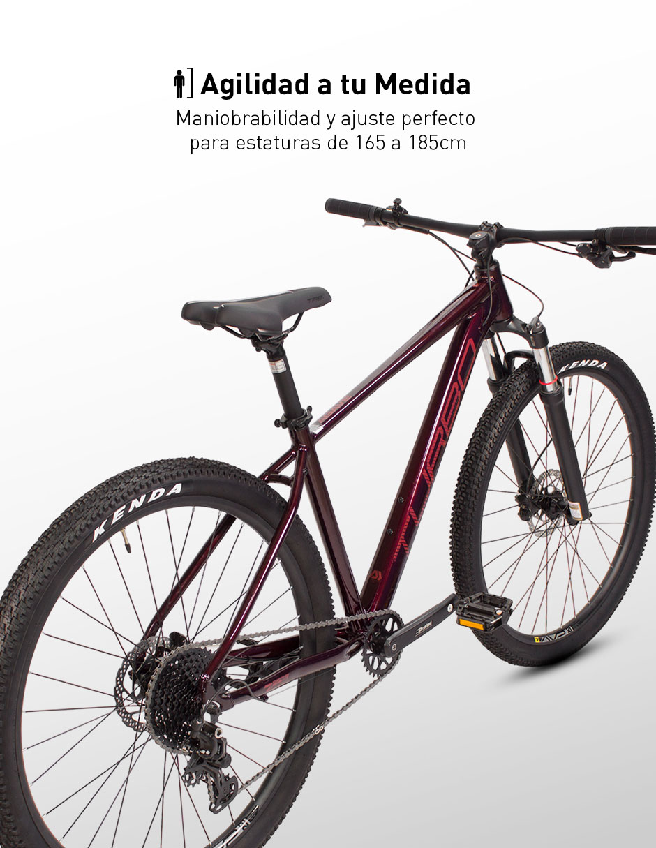 Bicicleta de montaña Turbo rodada 29