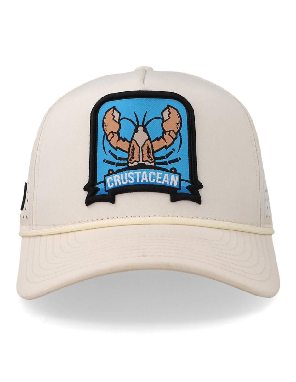 Gorra visera curva snapback para adulto Gorra visera curva snapback para adulto