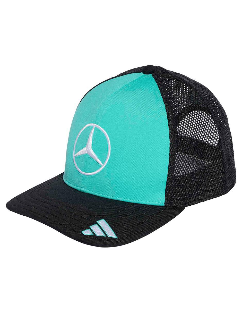 Gorra visera curva correa snackback casual DC Brackley adulto