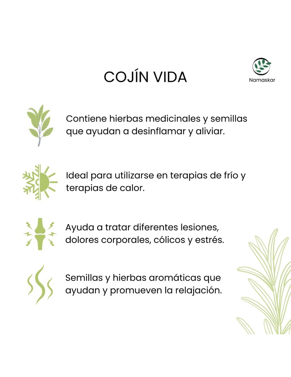Compresa de Semillas para cabeza 5