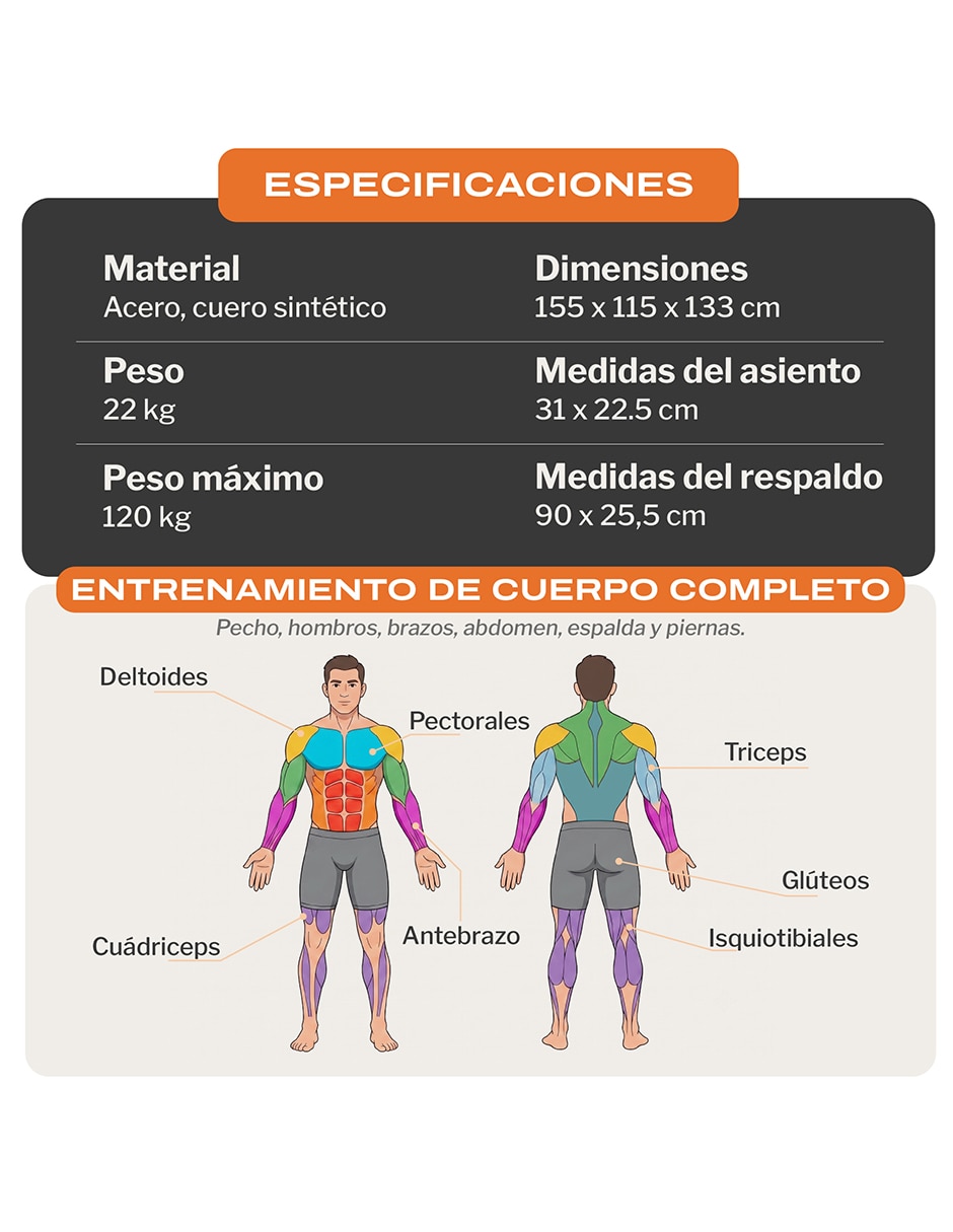 Banco para entrenamiento PBM400 10