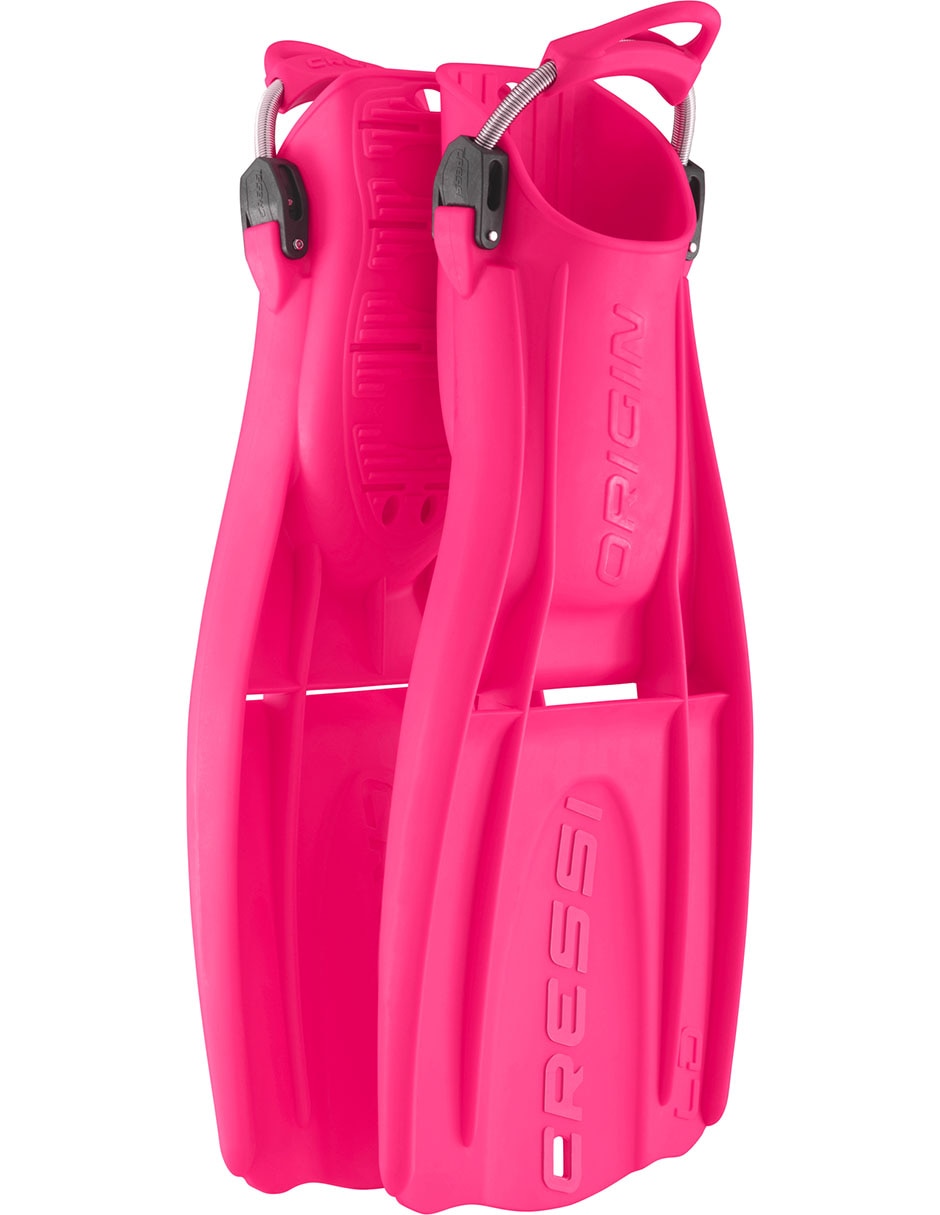 Rosa 6