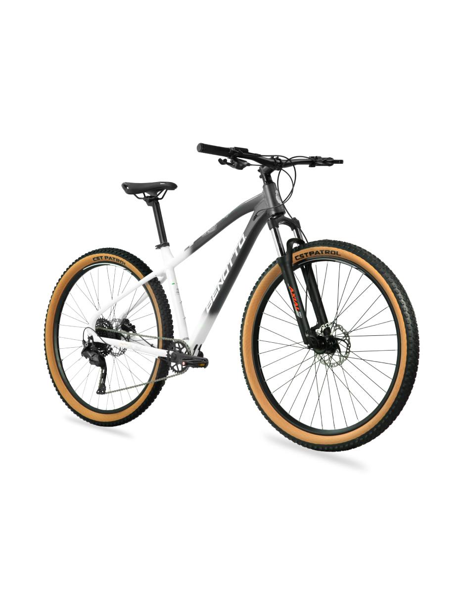 Bicicleta de montaña rodada 29 5