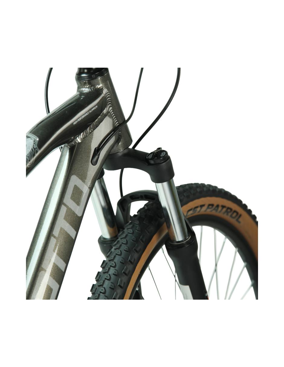 Gris 1
