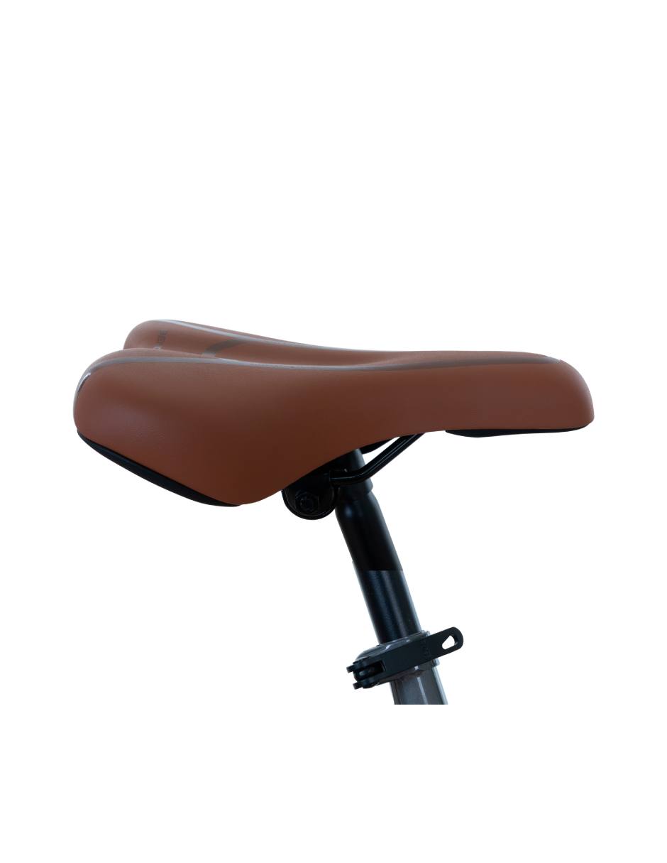Bicicleta urbana rodada 700
