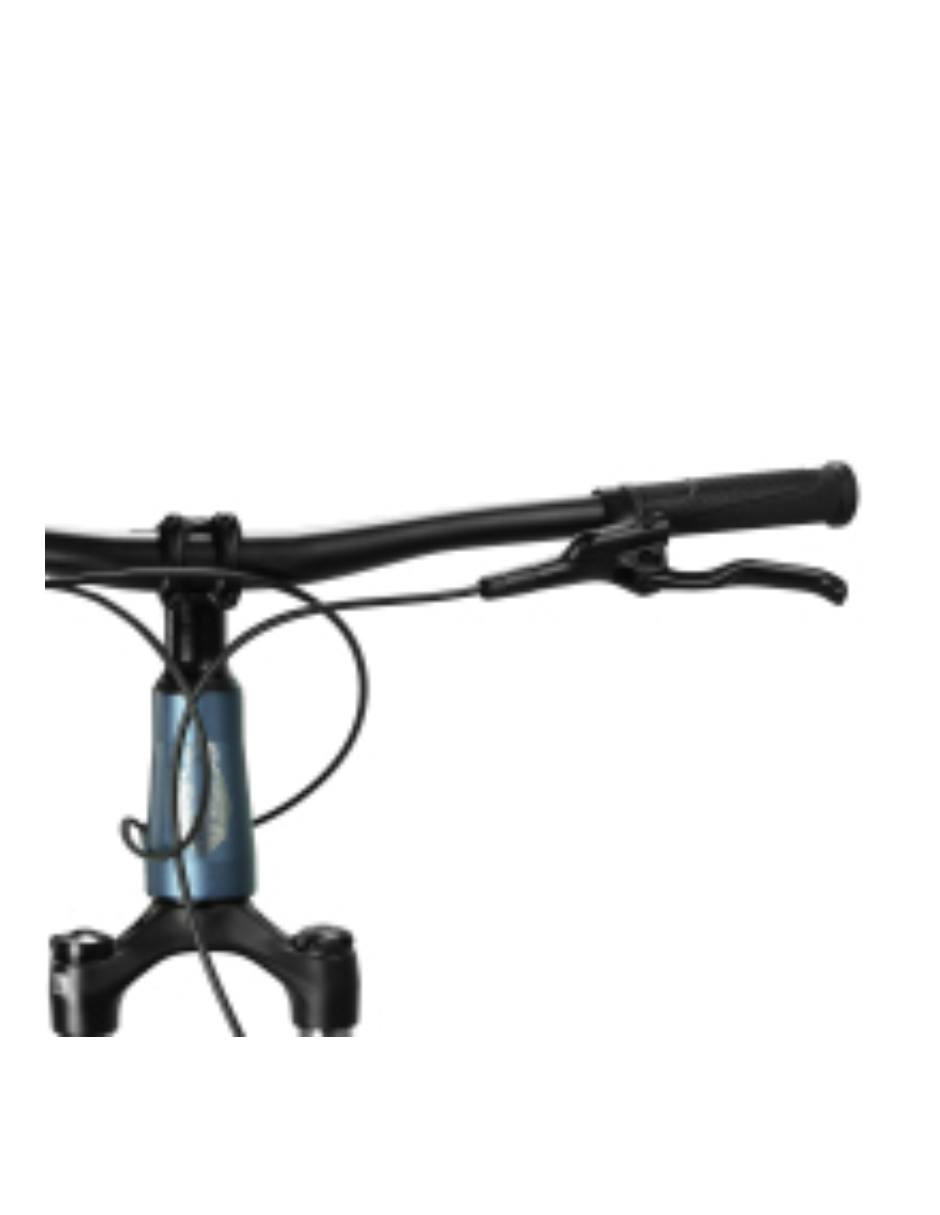 Bicicleta de montaña rodada 29