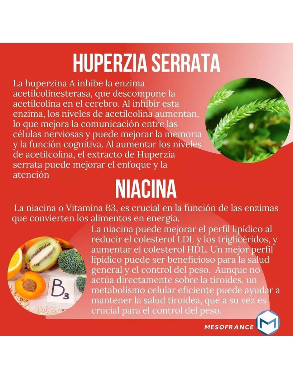 Ultra Reductivo Extremo Quemador con mezcla de hierbas 9