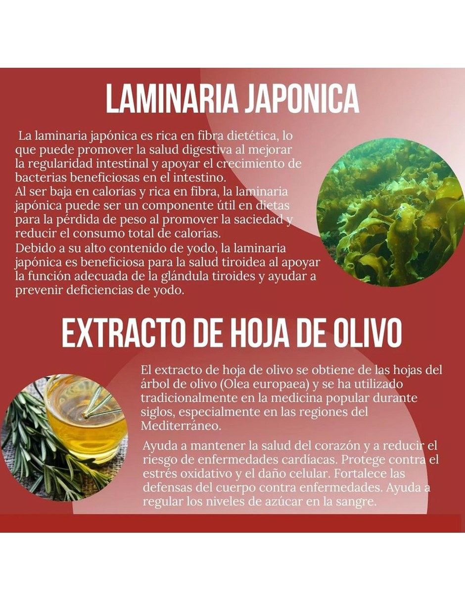 Reductor Abdominal Quemador Natural 90 Capsulas MESOFRANCE con Mezcla de hierbas sabor Sin sabor de 4