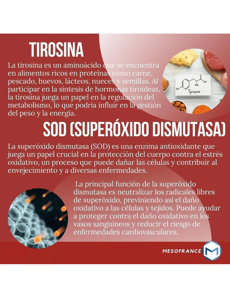 Reductor Abdominal Quemador Natural 90 Capsulas MESOFRANCE con Mezcla de hierbas sabor Sin sabor de 6