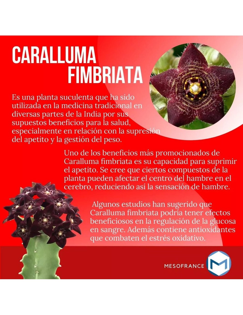 Suplemento Super Reductivo Intenso 90 capsulas MESOFRANCE con Mezcla de hierbas sabor Sin sabor de 5