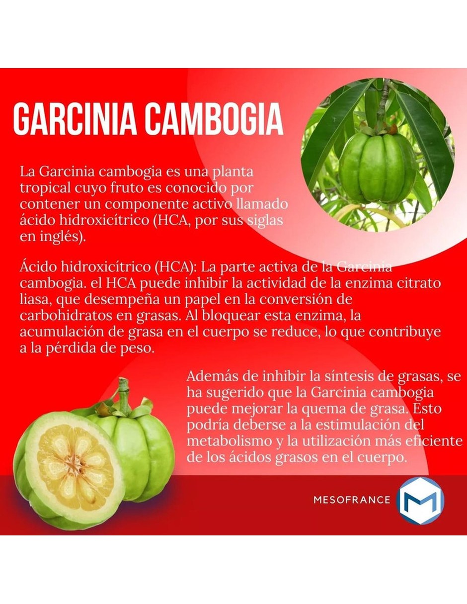 Suplemento Super Reductivo Intenso 90 capsulas MESOFRANCE con Mezcla de hierbas sabor Sin sabor de 6
