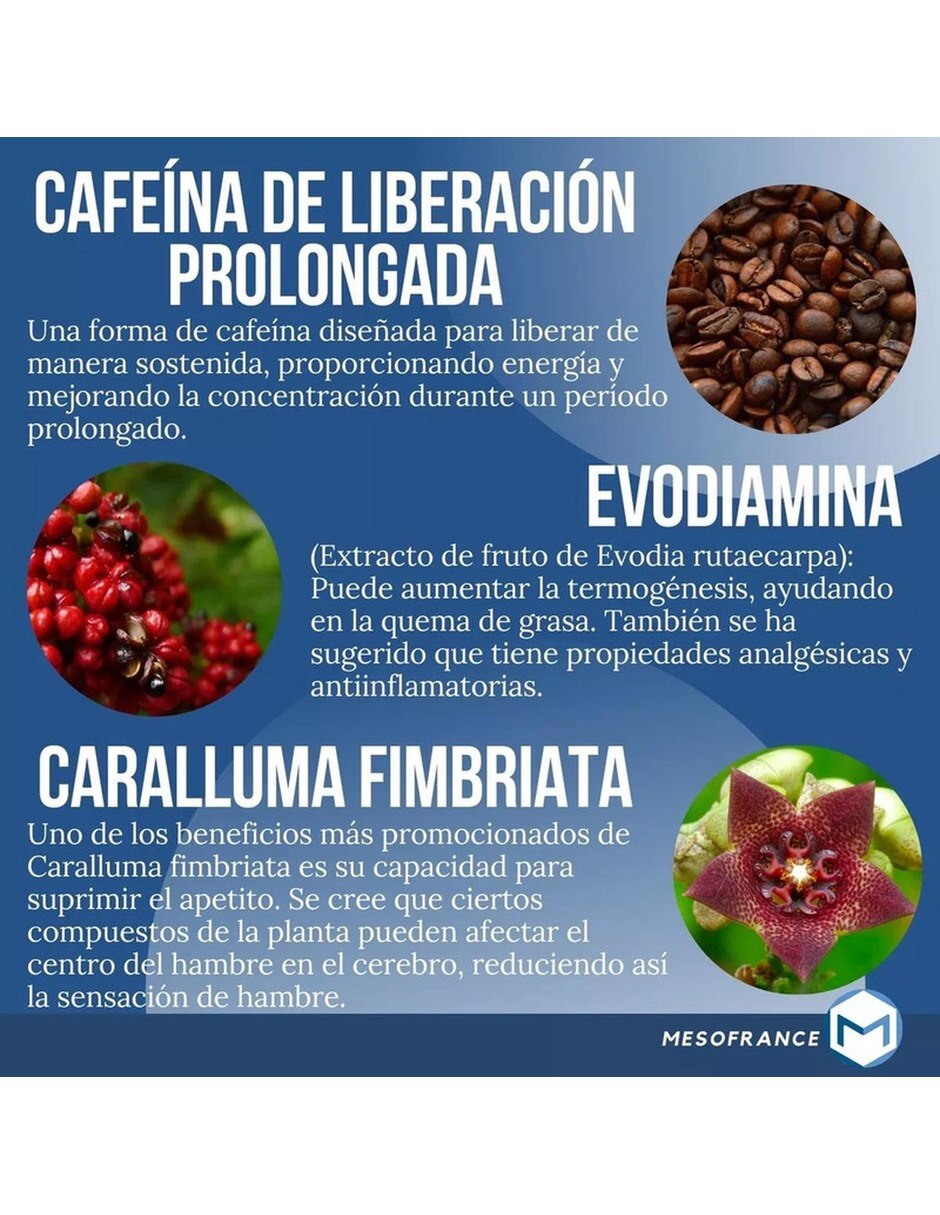 Ultrafirm Quemador Natural con mezcla de hierbas de 90 cápsulas 7