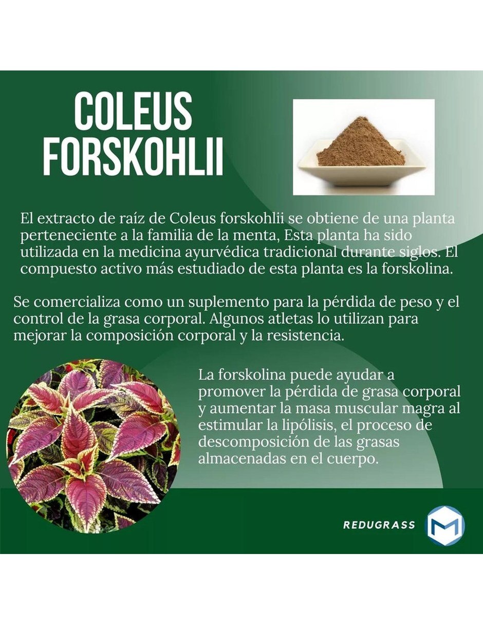 Redugrass Reductor de Grasa Corporal 90 Capsulas MESOFRANCE con Mezcla de hierbas sabor Sin sabor de 7