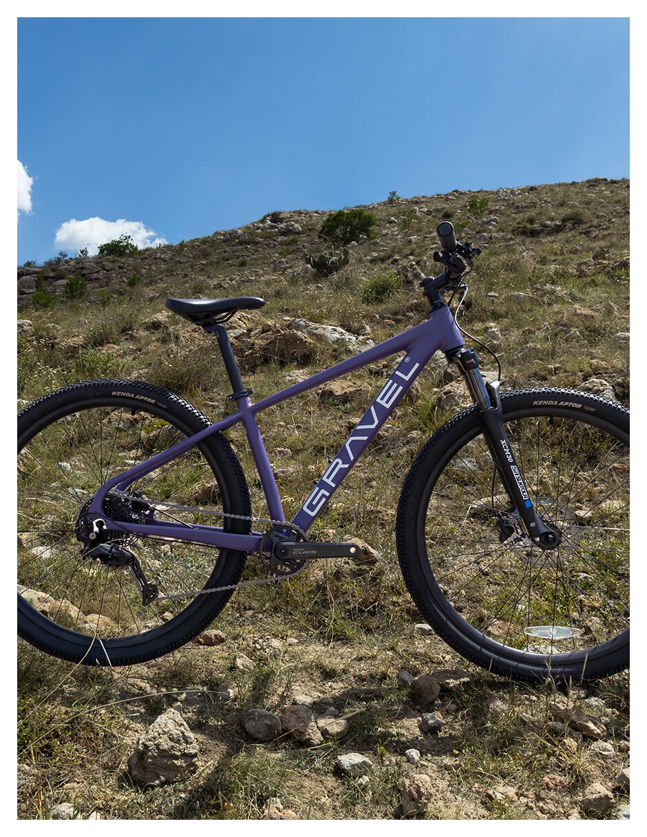 Bicicleta de montaña rodada andes pro 2