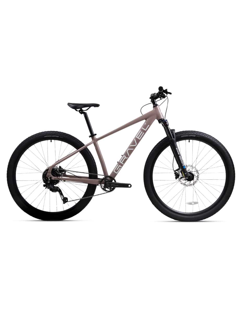 Bicicleta de montaña rodada andes pro
